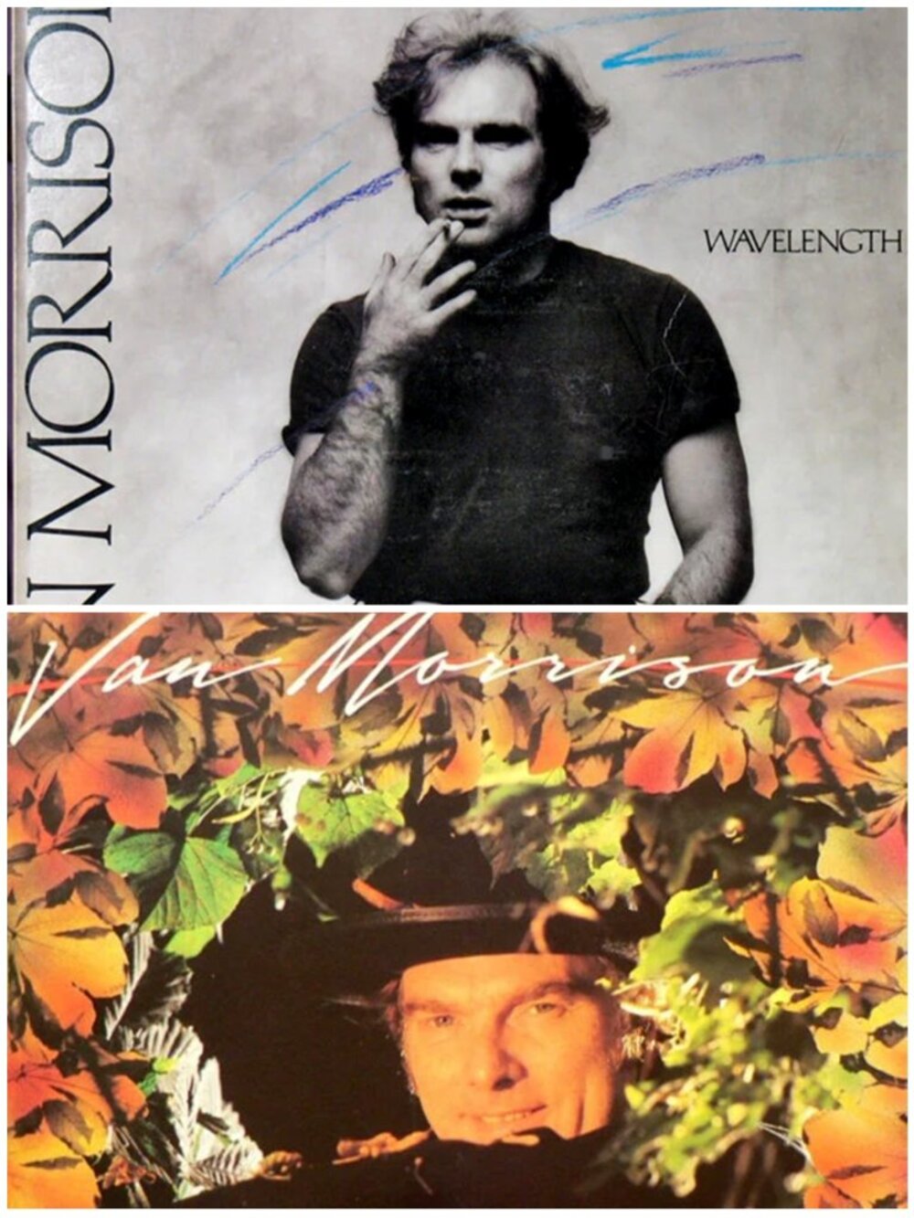 Van Morrison LP